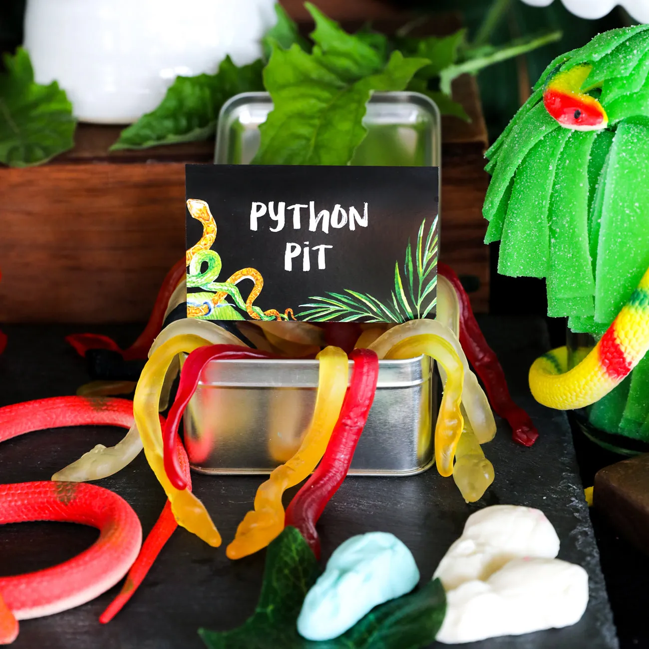 Snake Party Birthday Party Set | Reptile Party Decorations